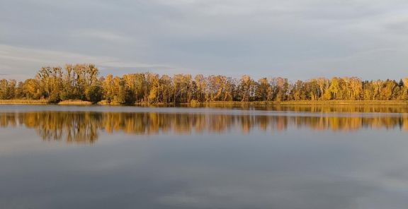 Frühlingsfoto von Czeslaw Gorski-063_bruesower see im herbst